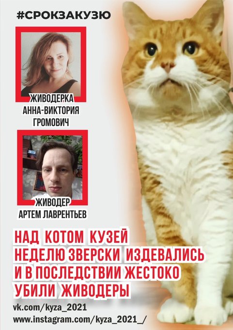 Please support the memory of the cat Kuzya who died at the hands of scoundrels. Sign the petition!👉 https://t