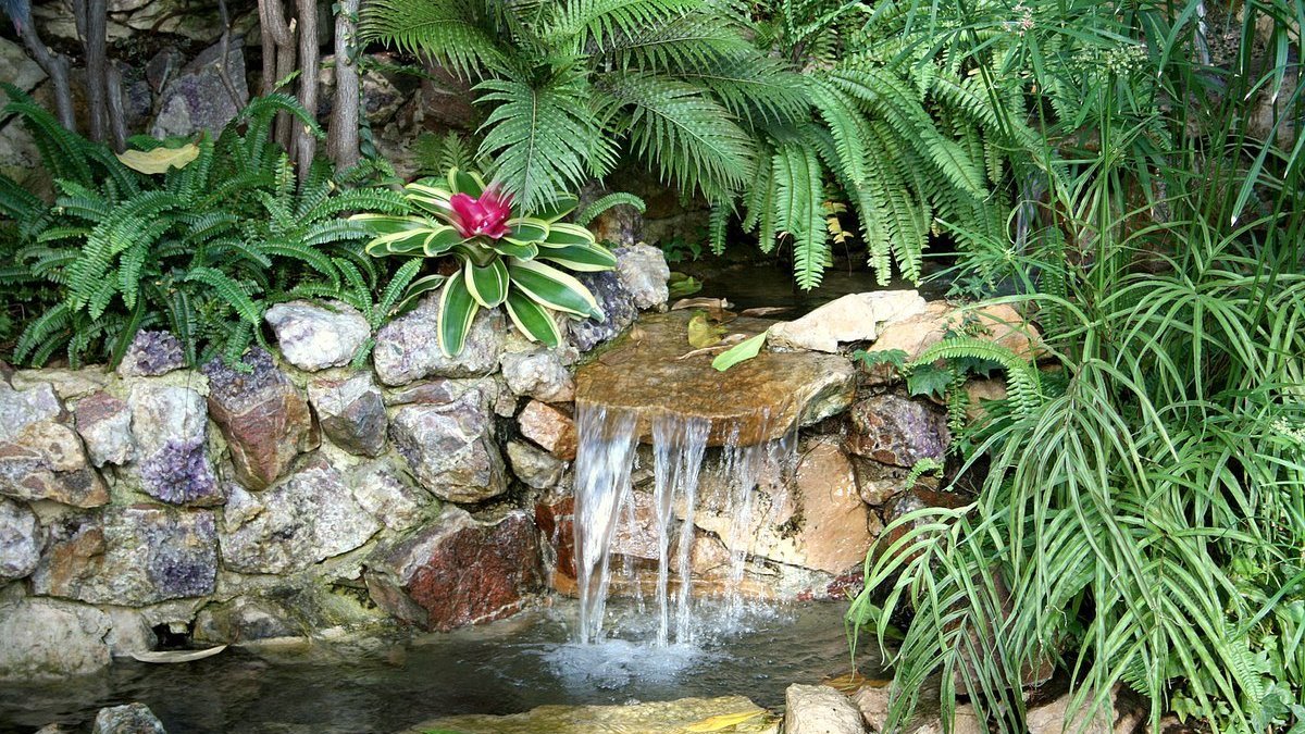 friendsTBcon's tweet photo. #ThunderBay's Centennial Botanical Conservatory is open 10am-4pm daily. Why not stop by for a breath of fragrant, tropical air.
Masks are mandatory.
Donations at the door appreciated.
#TBaylovin #TBay #tropical #BotanicalGarden #TBaycation #staycation https://t.co/h98RgpsSyE