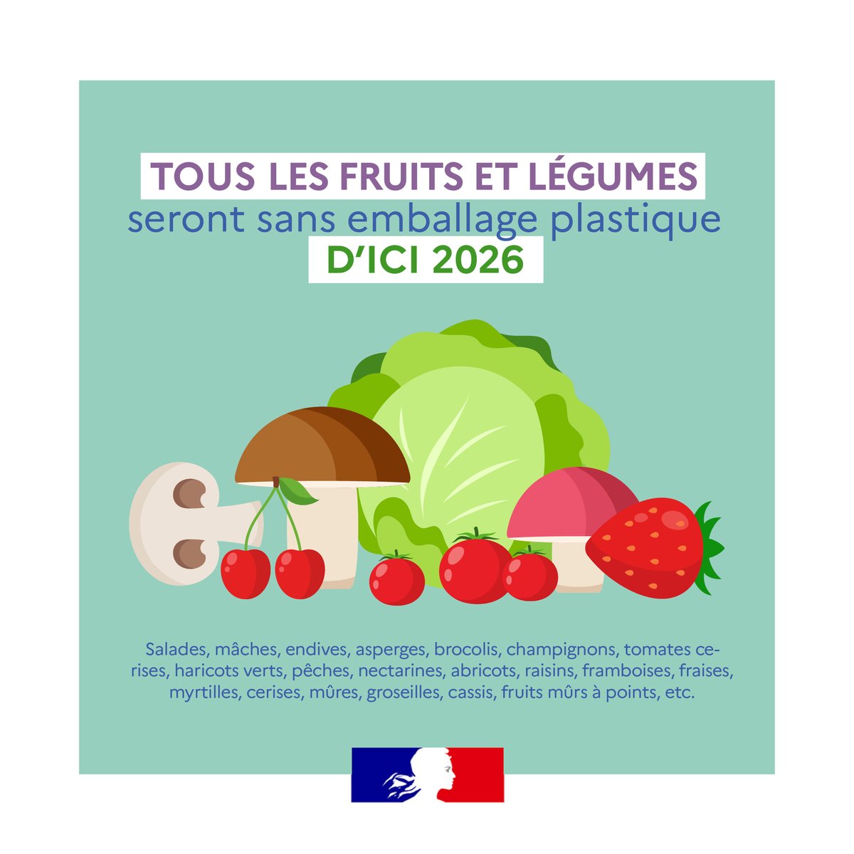 franceonu's tweet photo. #ByeByePlastics | In France, the fight against plastic pollution continues! 🛍️❌
Starting January 2022, you will see some changes when you go shopping at the grocery store: plastic packaging around fruits and vegetables will be gradually banned.
https://t.co/2gWiBFTBcO https://t.co/OYMeueL8Gp