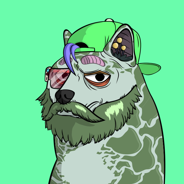 TheDogePoundNFT's tweet photo. It's time 👀 https://t.co/uZGY3ipcuM