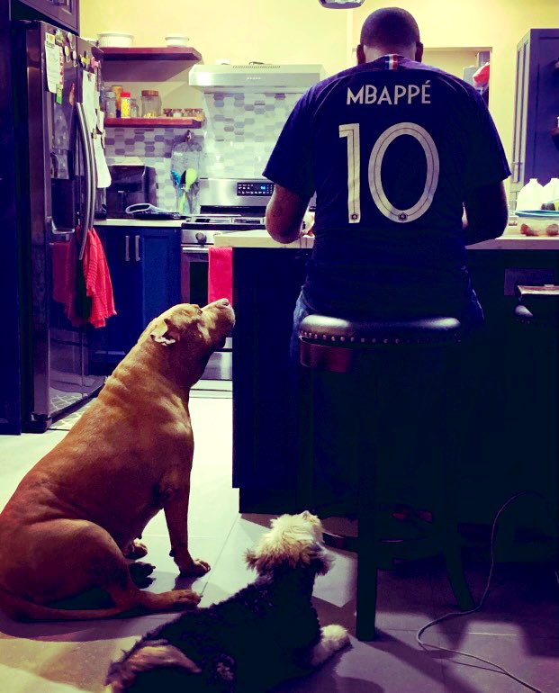 Signatur3's tweet photo. Yesterday was probably 1 of the harder days I've been through in a while
Had to put to sleep my best boy Caesar after months of fighting cancer & weeks of being sick
I Loved that Dog Mann,
This shit was too hard
I know you'd be waiting at the gates when its my time #RipCaesar 🙏🏾 https://t.co/KHZ2P5E9cq