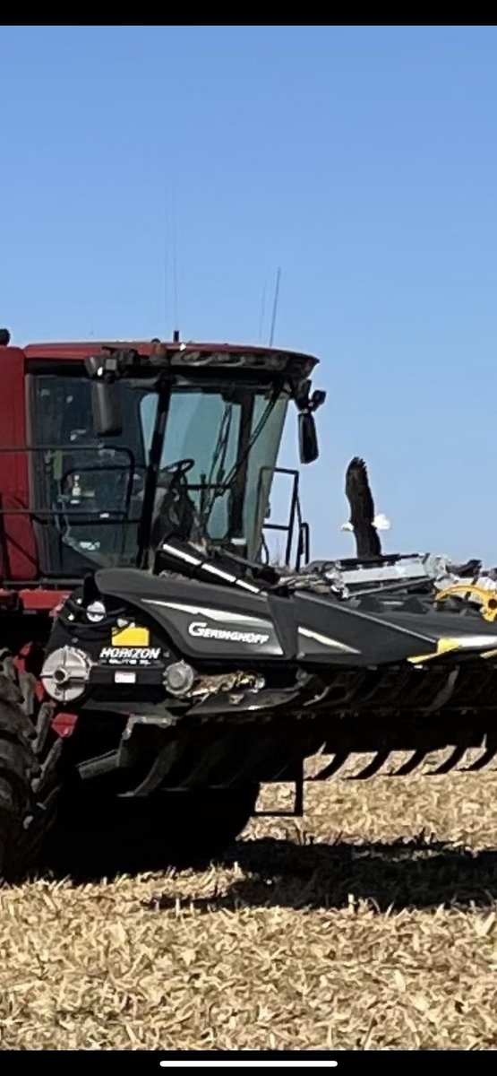 Pickrell Farms tweet media