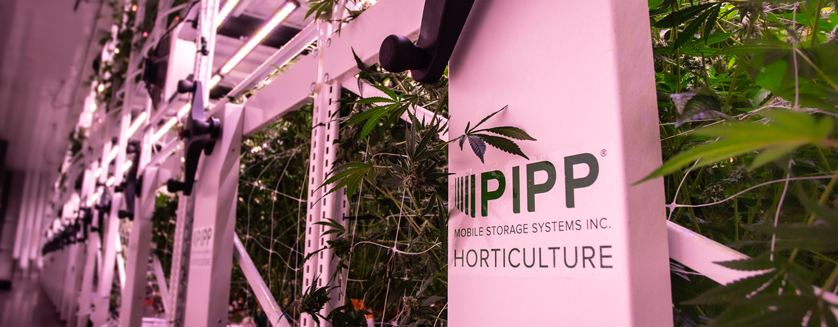 Did you hear the news? GGS is now part of Pipp Horticulture. We look forward to offering growers new product lines for space optimization. Read more about it here: buff.ly/3ANnii4