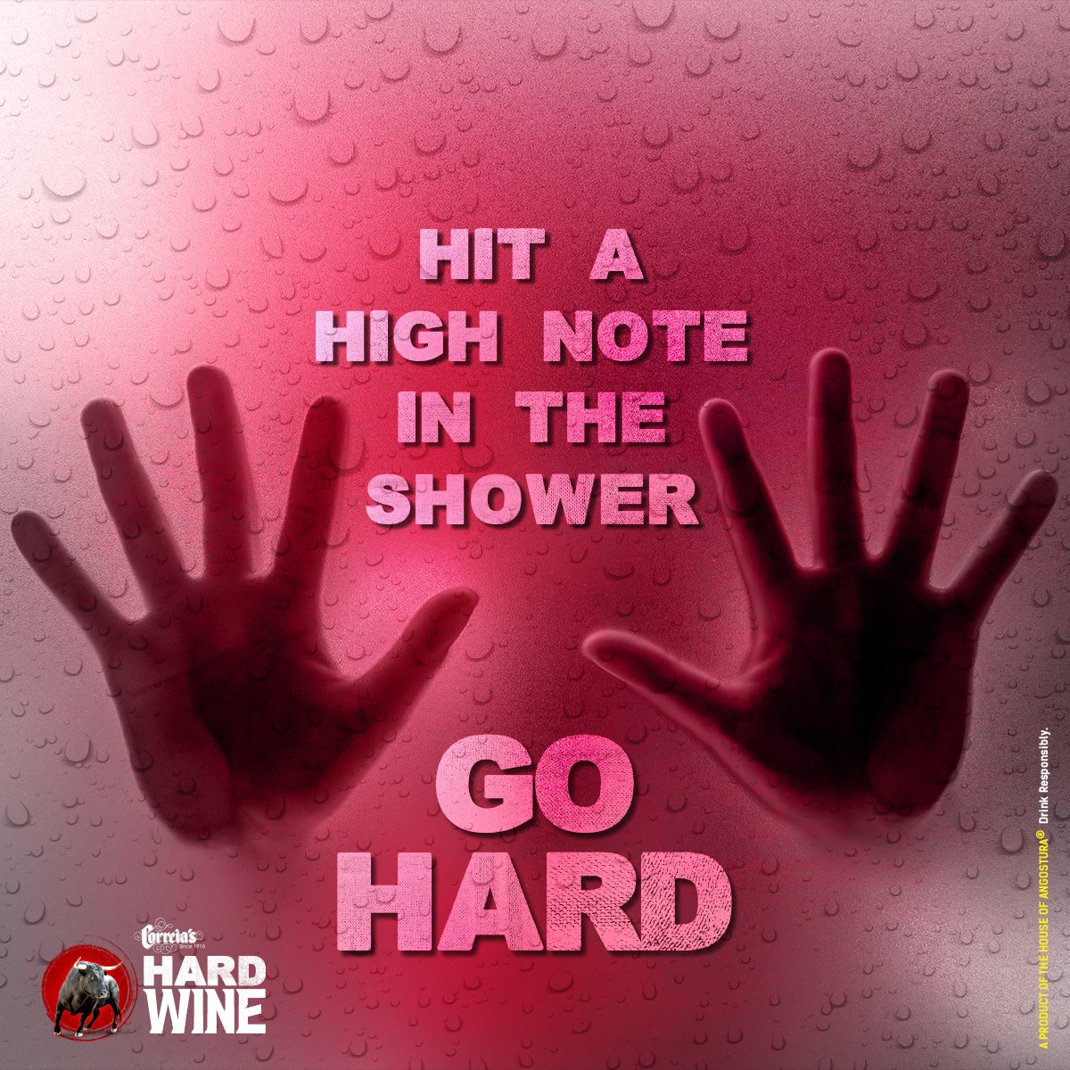 correiashrdwine's tweet photo. You know you sing better in the shower, but can you handle a live audience? #correiashardwine #CHW #gohard #singers #vocalist #powertoperform #fun https://t.co/UMvPId0nev