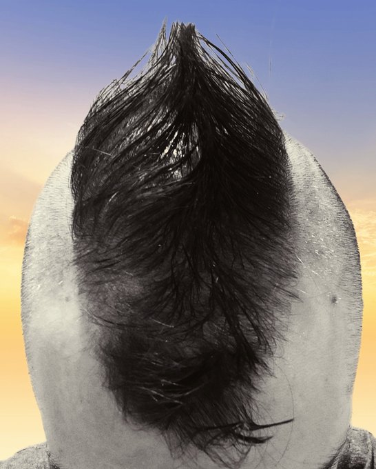 Who likes my fresh hawk? https://t.co/h2sduFrj75<a href="/tag/lazy"class="tags"><span>#lazy</span></a>