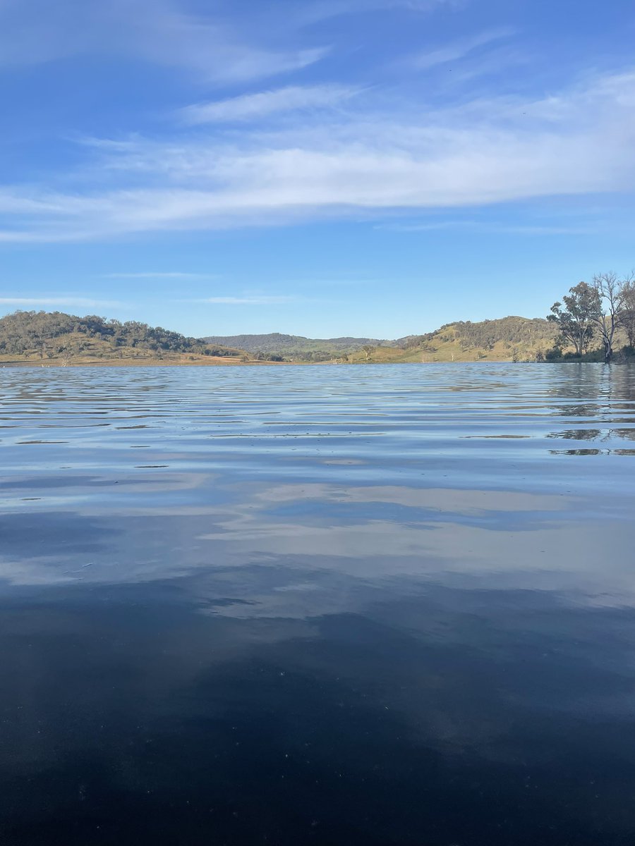 Started before dawn under a full moon for a 4 km swim in Chaffey Dam near Nundle. Calm, clear water, nice light. Swam around a little island.