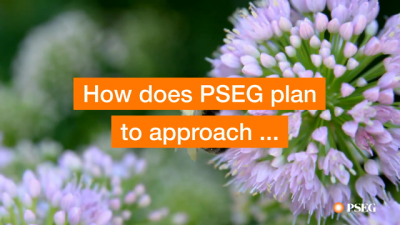 3blnow's tweet photo. PSEG Joins UN 'Race To Zero' Initiative, Commits to Setting Science-Based Emissions Reduction Targets https://t.co/DpzF7PCEHl via @3blmedia #csr https://t.co/6GyyRAcJcJ