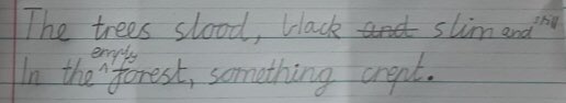 With a whole term of remote learning our teachers and students are still doing an amazing job to inspire writing. Y4 are finding lots of opportunities for short burst writing in our model text ‘The Creek’