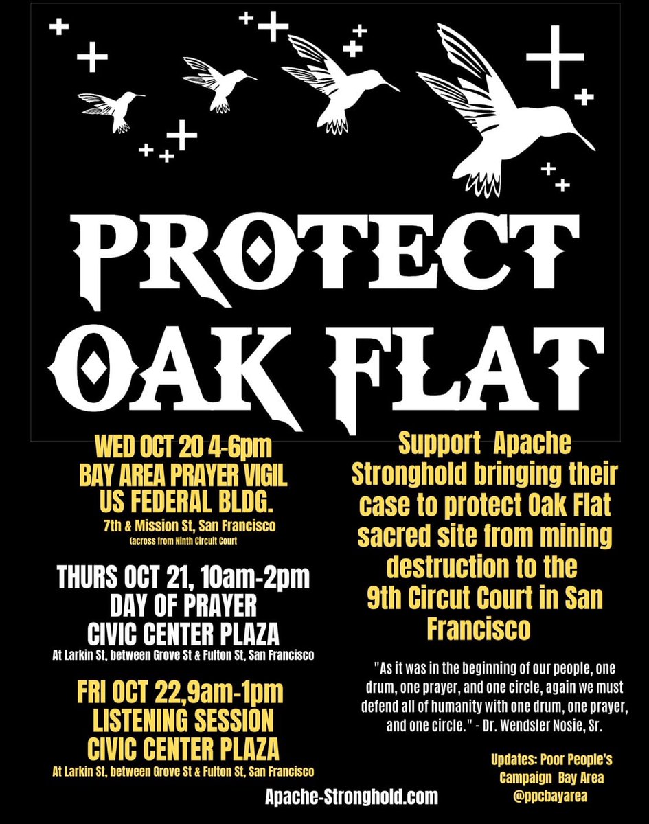 🌳 BAY AREA 🌳 Join us in-person or virtually as we bring our case to protect sacred Oak Flat to the Ninth Circuit Court. Please continue to pray that the Court makes the right decision to protect our Holy place &amp; Religion. #ProtectOakFlat