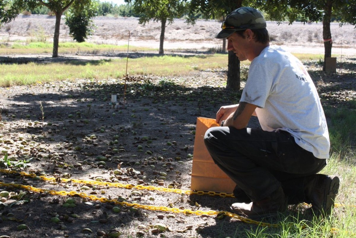 PES_NMSU tweet media