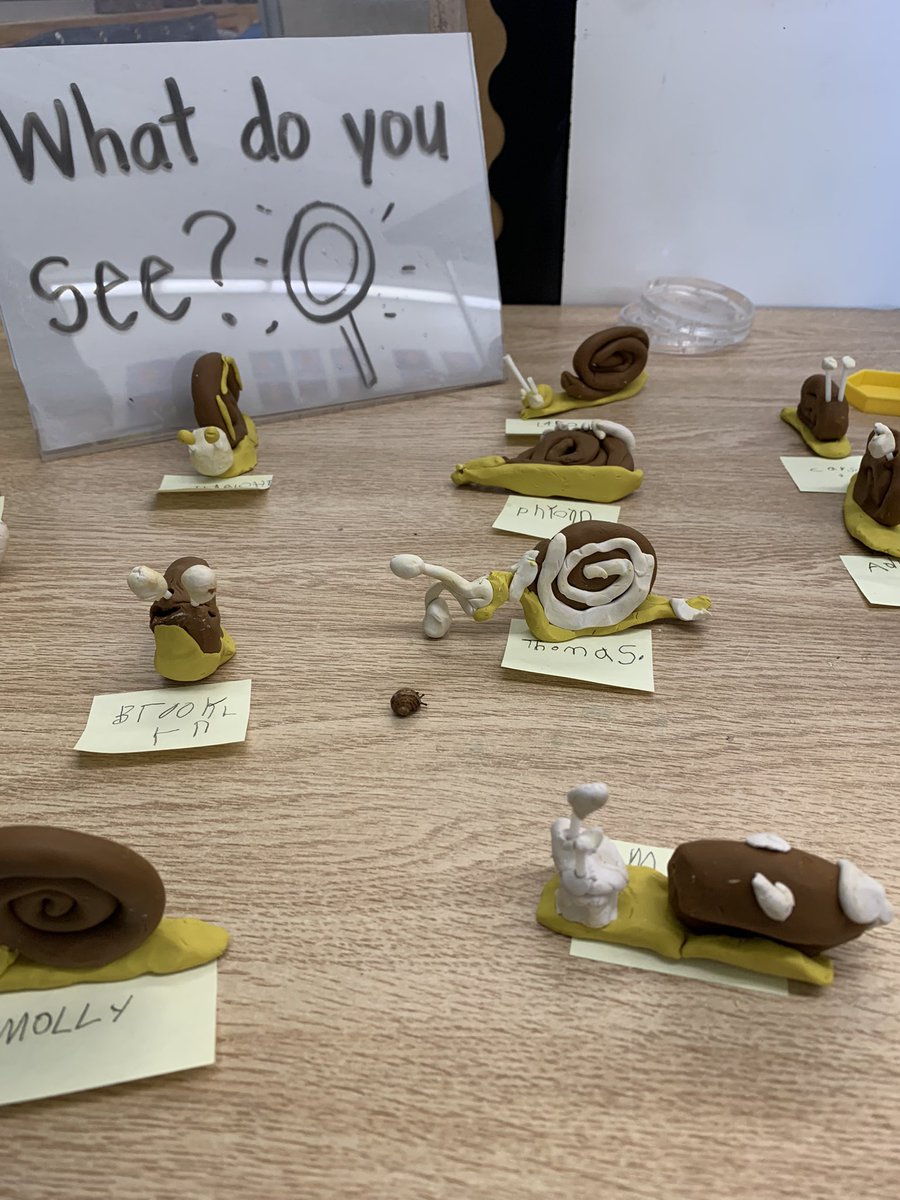 So much fun making clay snails! Can you spot the live ones?