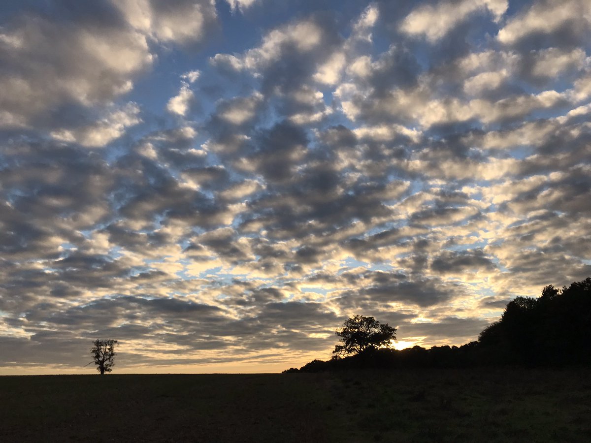 British_Beacon's tweet photo. Sunset on my Sunday walk #photography #PHOTOS #photo #sunsetphotography #sunset #rural https://t.co/rAAWetvB7X