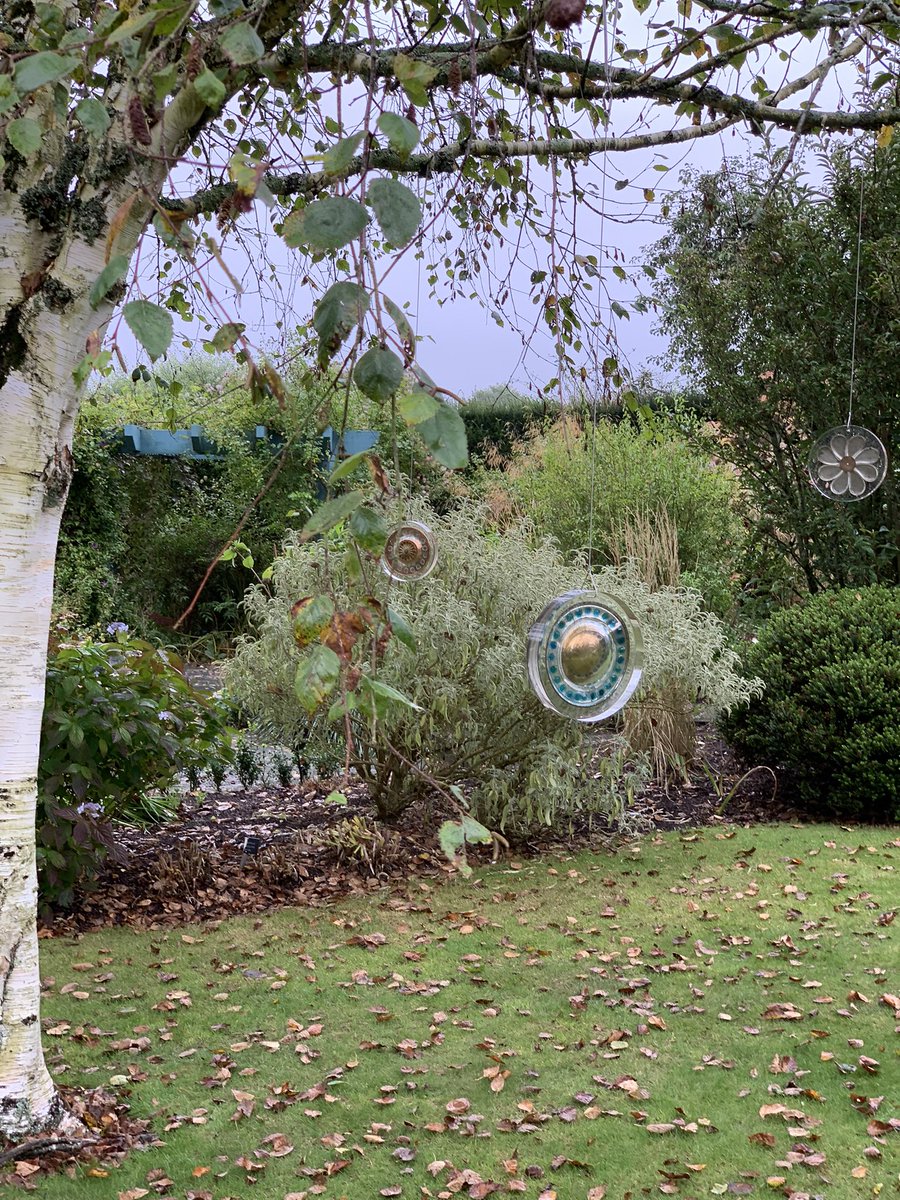 So happy to be exhibiting at  <a href="/RHSRosemoor/">RHSRosemoor</a> for the first time. Thank you for inviting me!