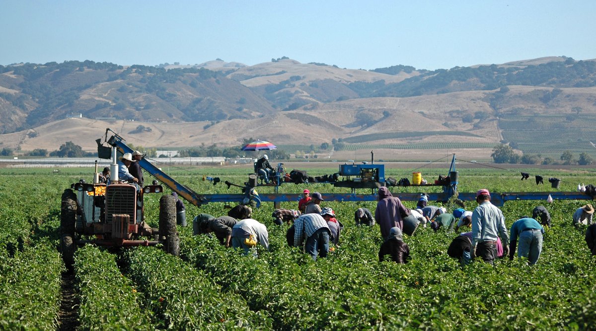 ARE Discussions is back and, on Nov. 2 (10am pacific), we will be discussing opportunities and challenges in California's agricultural labor market with Phil Martin (<a href="/UCDavisARE/">UC Davis Agricultural and Resource Economics</a>) and Diane Carlton (<a href="/montanastate/">Montana State University</a>). Please register: surveys.ucanr.edu/survey.cfm?sur…