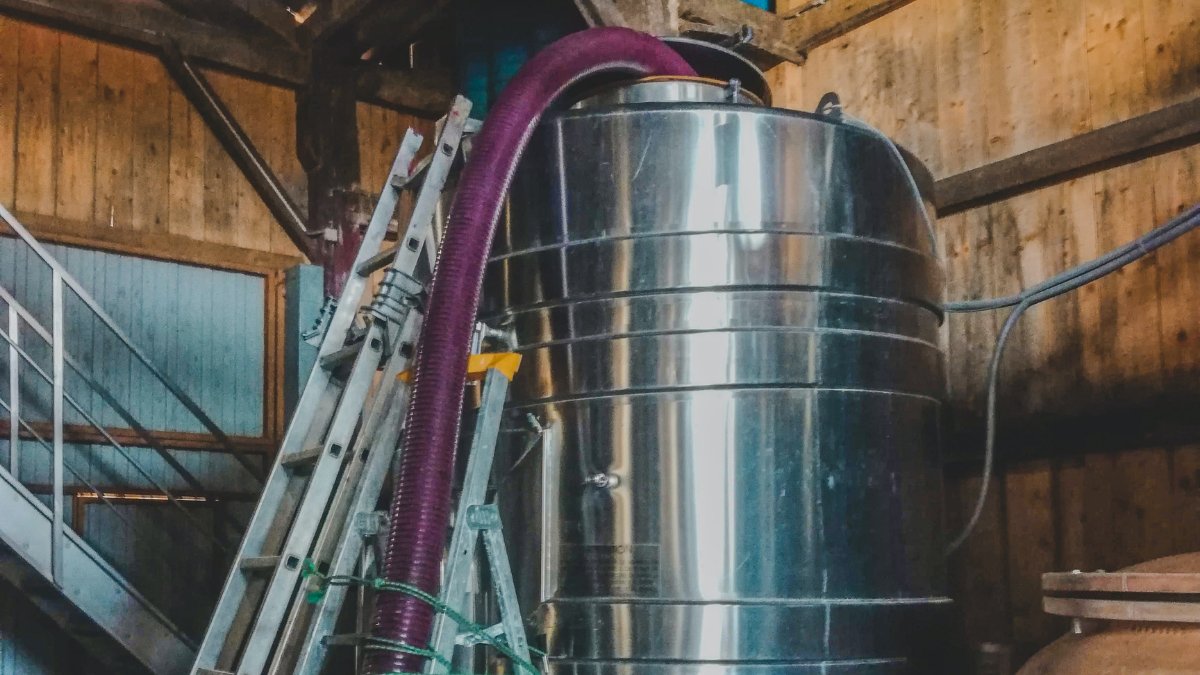 SommCon's tweet photo. Learn more about #winemaking with us! From history to basic principles, learn from some of the #wineindustry's best and brightest on #SommGo. Begin your #wineeducation with a free 7-day trial at https://t.co/YiuTgdT0Yj
#businessofwine #winemaker https://t.co/A0H2xkeXkR