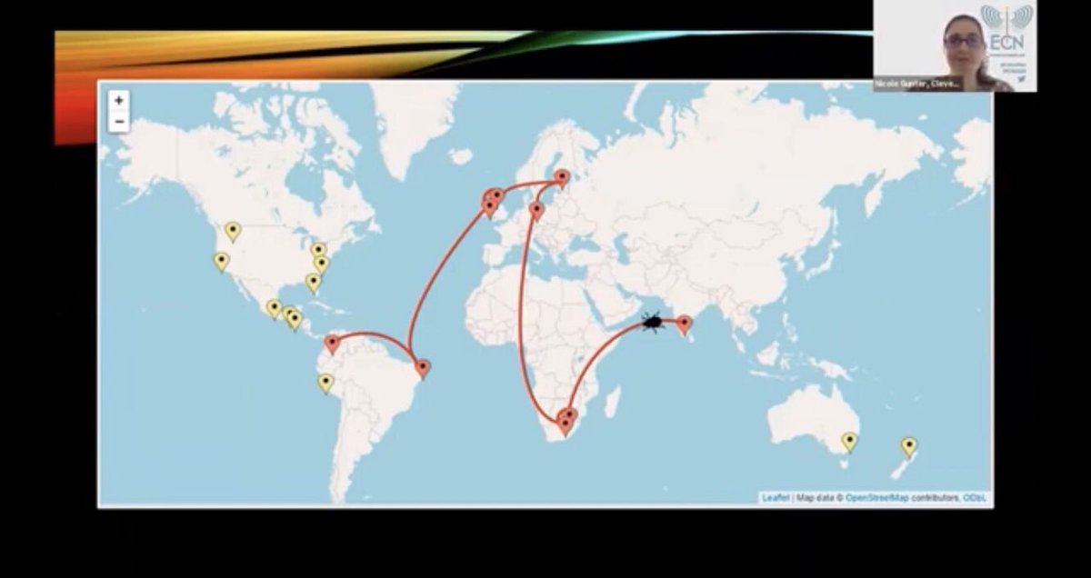 EntCollNet's tweet photo. 1 WEEK TO GO until #ECN2021! We can’t wait to tour more insect collections in our virtual ‘Collections of the World’ symposium. 🪲
Here’s a throwback to some of the great tours from last years meeting (#ECN2020):
🎥 https://t.co/SqWep73CXO https://t.co/AyjlLuYrzl