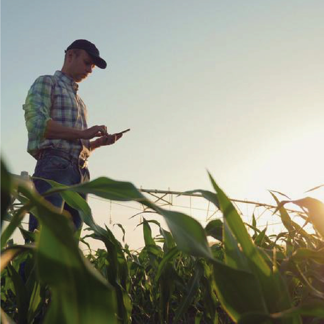 Once you have registered with the AXIchain Mobile National Vendor Declaration (mNVD), you can work both online AND offline! 📶

Perfect for those remote spots with no reception.