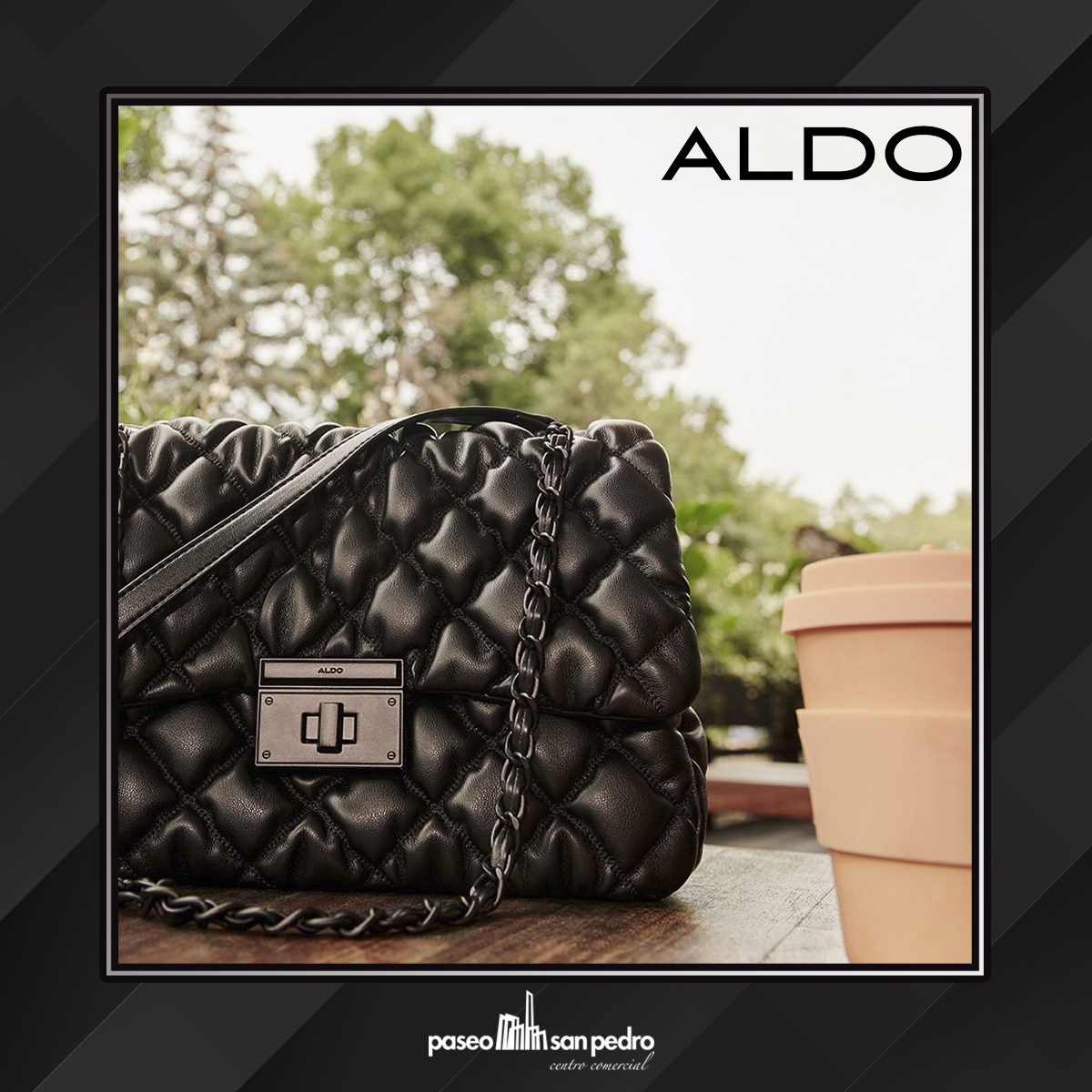 aldo liabel bolsa