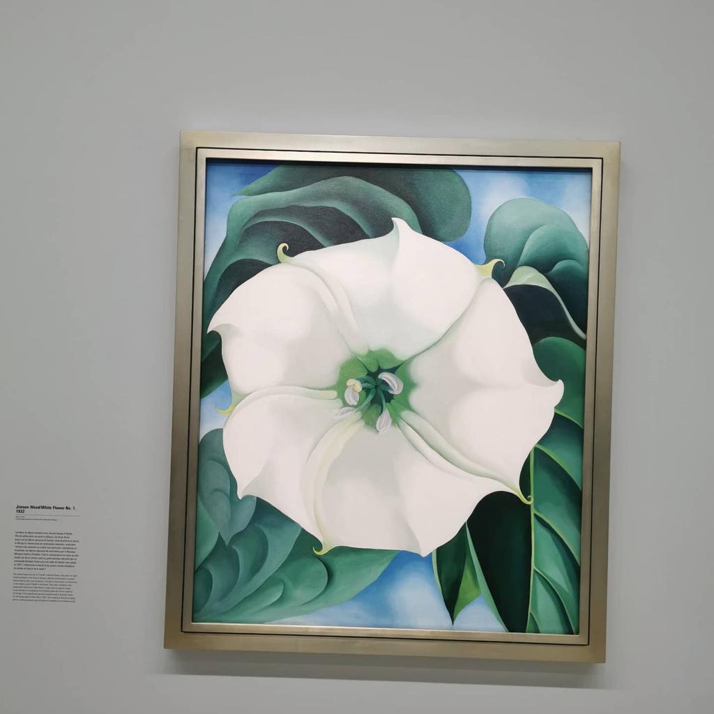 Je vous recommande l'expo Georgia O'Keeffe au <a href="/CentrePompidou/">Centre Pompidou</a>
Première rétrospective en France, il était temps.
On plonge dans son univers coloré et abstrait avec délice. Une douceur pour les yeux.