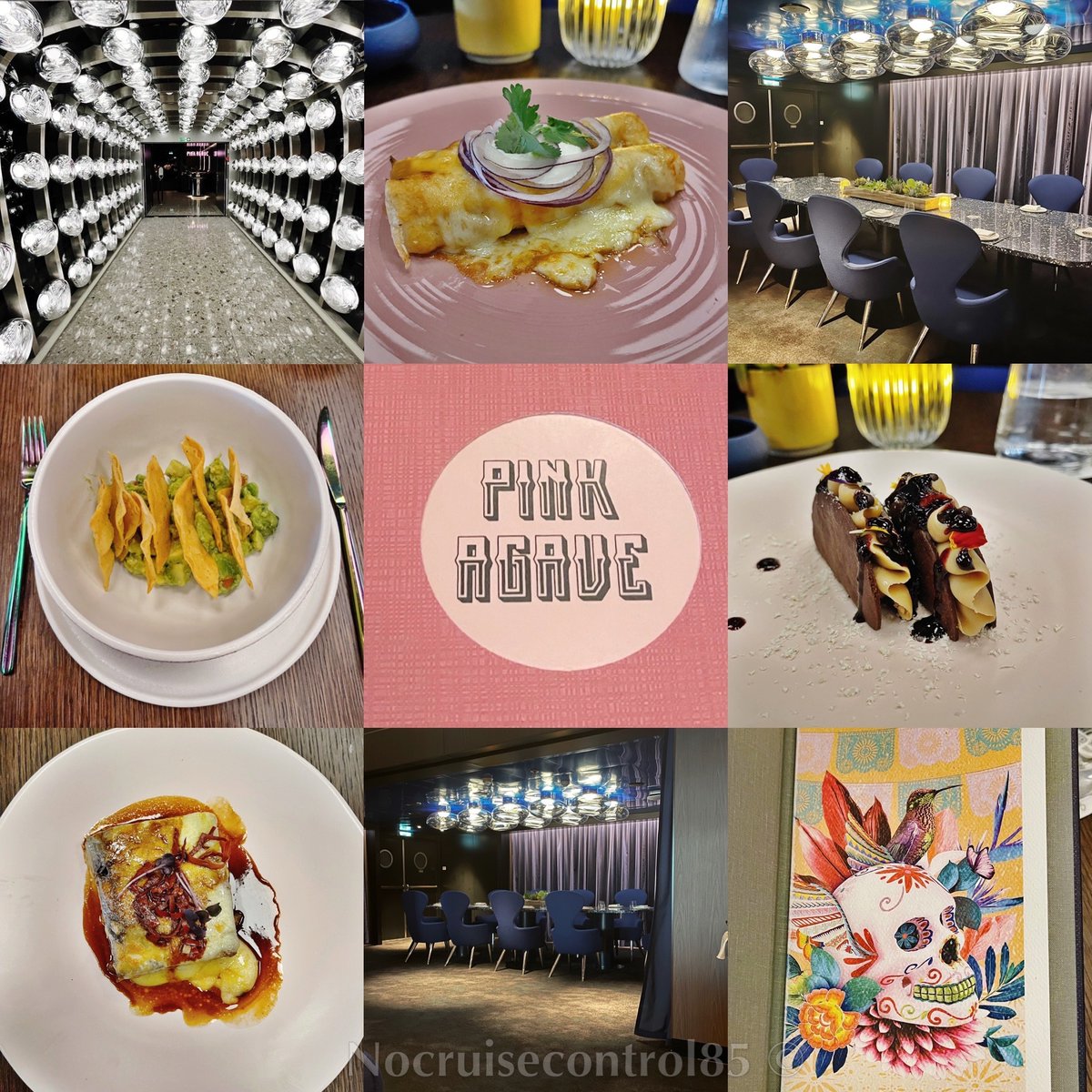 n0cruisecontrol's tweet photo. Pink Agave... easily my favourite restaurant aboard Scarlet Lady! Which is yours? Looking forward to a few more meals there on Virgin Voyages Cruises for next year! #excited #virginvoyages #scarletlady #valiantlady #pinkagave #firstmate @VirginVoyages https://t.co/KOXsHixAcz