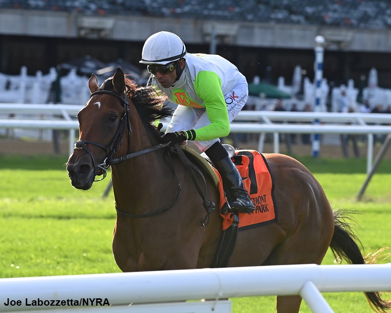 So excited for The Elkstone Group's Too Sexy and her Belmont stakes win! Read more about it on our website, and watch an interview with owner Stuart Grant🏇🥳 bit.ly/3FWu4pn @stuartmgrant @clementstable @TheNYRA