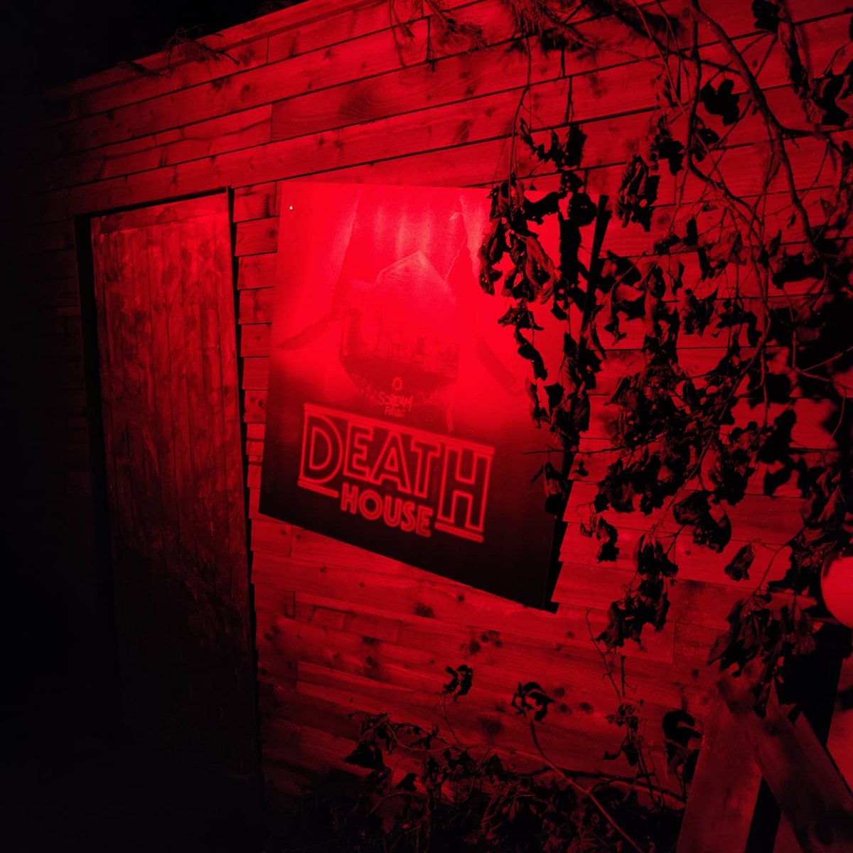 thejoysequence's tweet image. A terrific night of scares at Scream Fields 👻 The actors all did an unreal job at setting the moods of the different mazes and reducing me to a nervous wreck ☠️