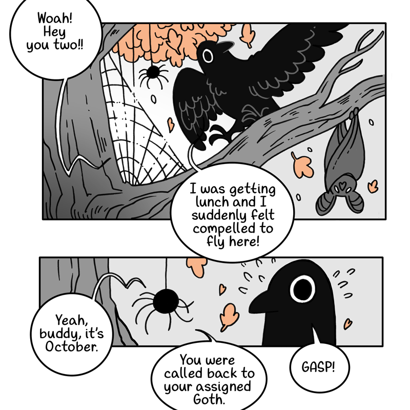 New Crow Time!! Crows hold grudges, it's science. 