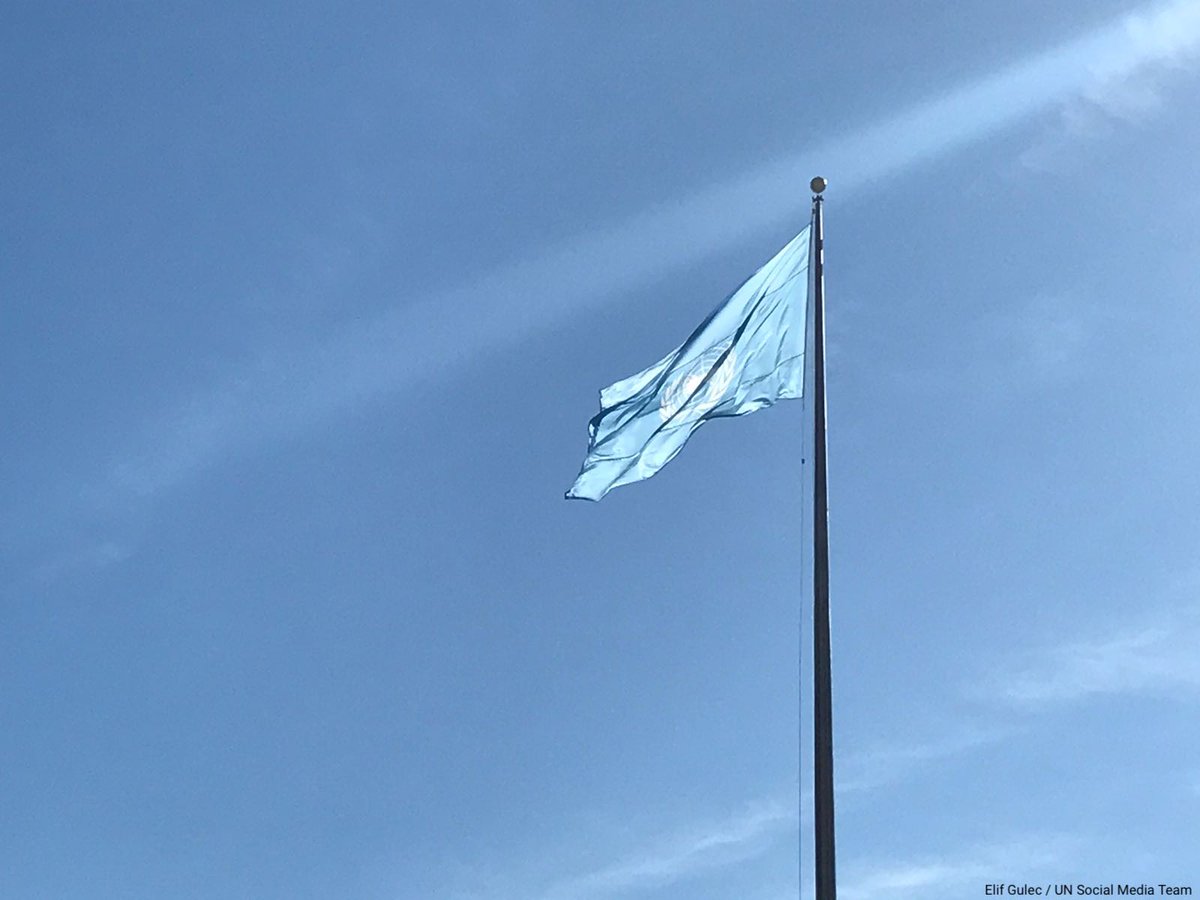 UN's tweet image. The UN works for everyone, everywhere by: 
🇺🇳 preventing conflict
🇺🇳 vaccinating children
🇺🇳 protecting refugees
🇺🇳 feeding the hungry
🇺🇳 addressing the climate crisis
🇺🇳 empowering women
🇺🇳 responding to #COVID19 &amp;amp; more.

More ahead of Sunday’s #UNDay: un.org/en/essential-u…