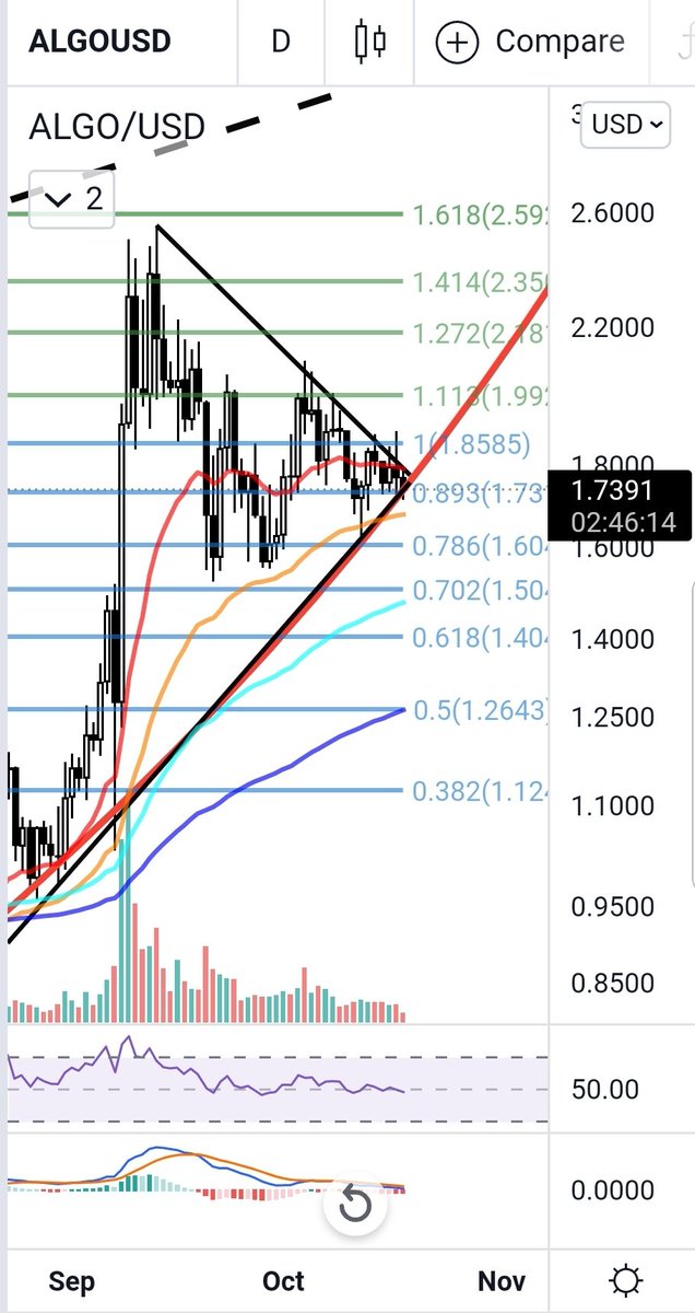 Engineeringhere's tweet photo. $ALGO 1D - No room left in the tip of this wedge. Decision time today or tomorrow. https://t.co/BKXQCfVOpX