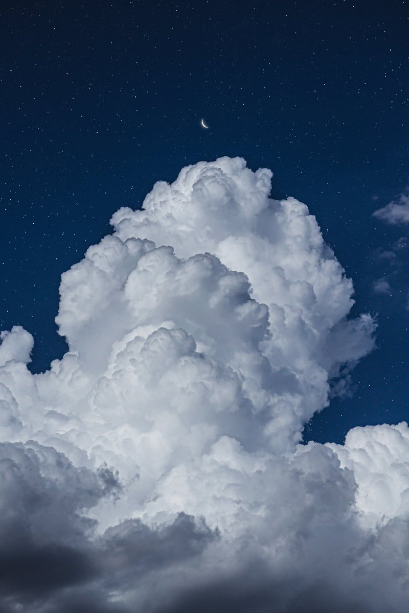 matialonsor's tweet image. perdition