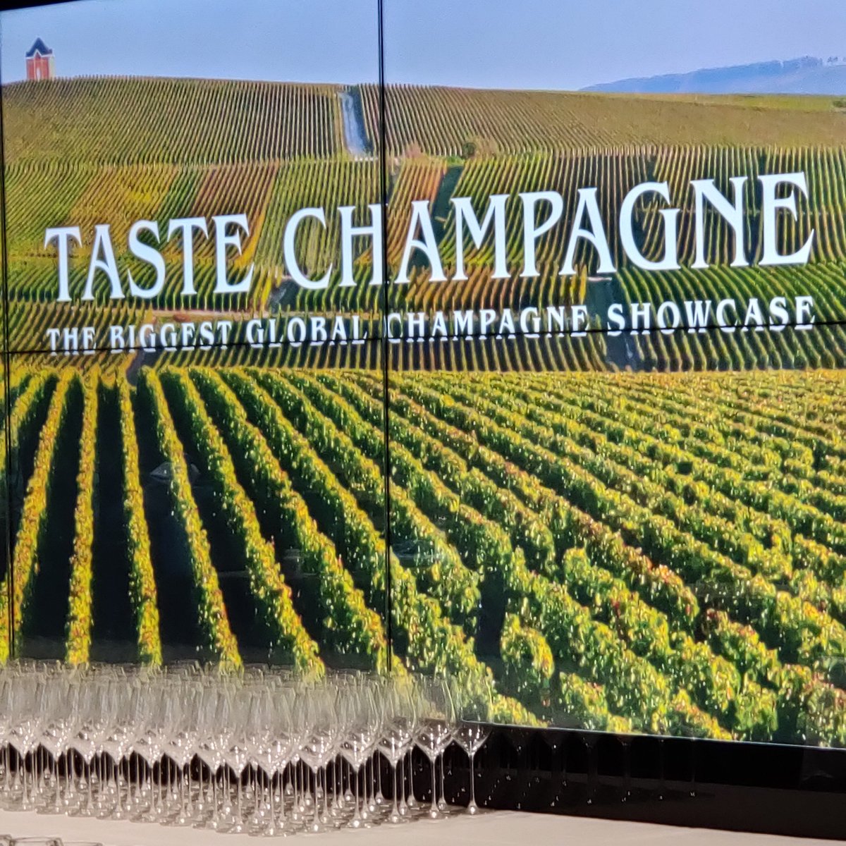 After more than two years, Taste Champagne Brisbane is back today! A few tickets have become available to this sellout event! Join us tonight for the best night out of the year! tastechampagne.events