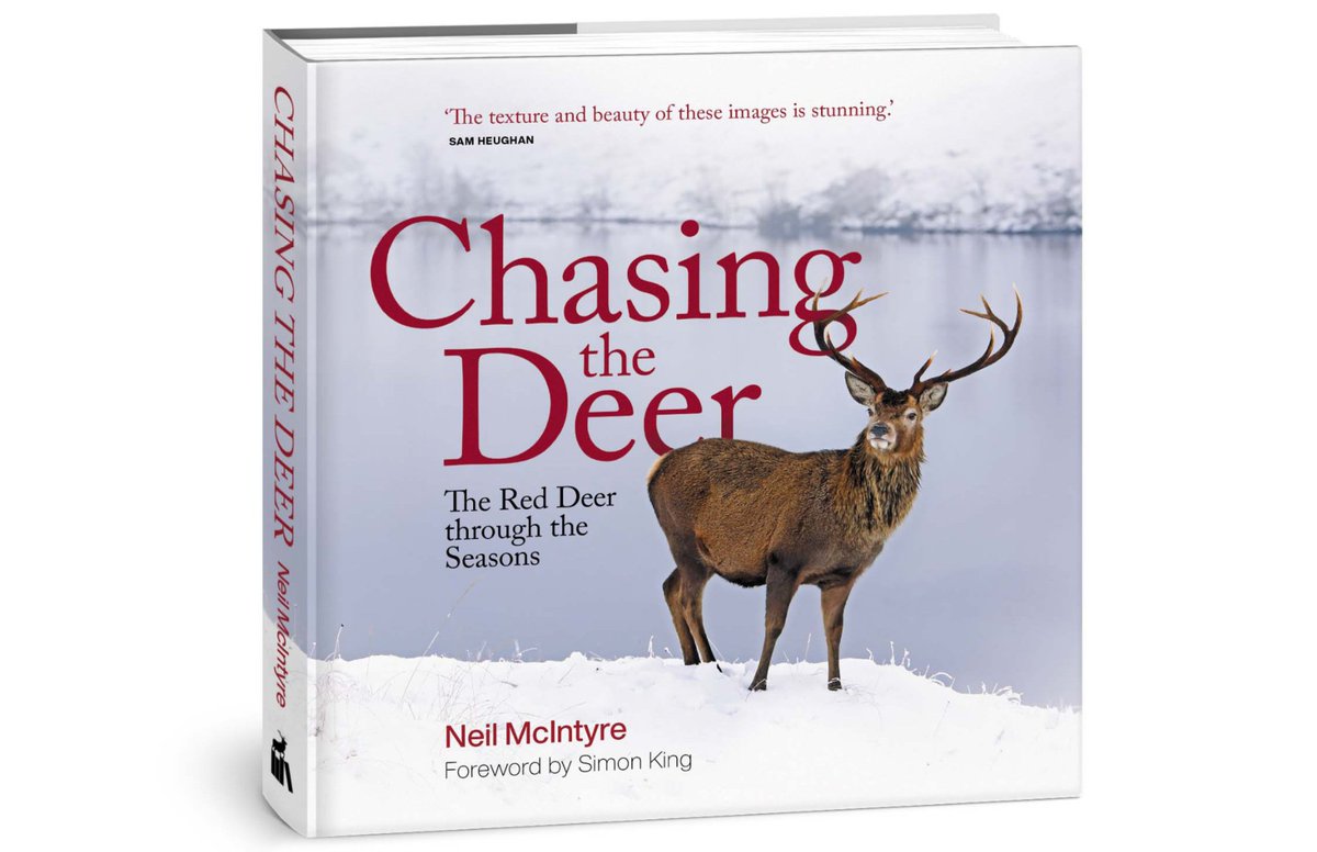 NeilMcIntyre3's tweet image. After a few years in the making, its finally launch day for " Chasing the Deer" 🙏I hope it does justice to these most amazing animals 🦌.Thank you @sandstonepress @k_a_farrell @davidson_robert.Please feel free to spread the word @BritishDeerSoc @ScotGamekeepers @Mammal_Society