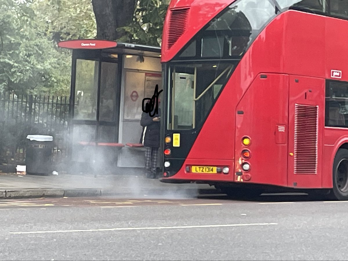 Gita Langston tweet media