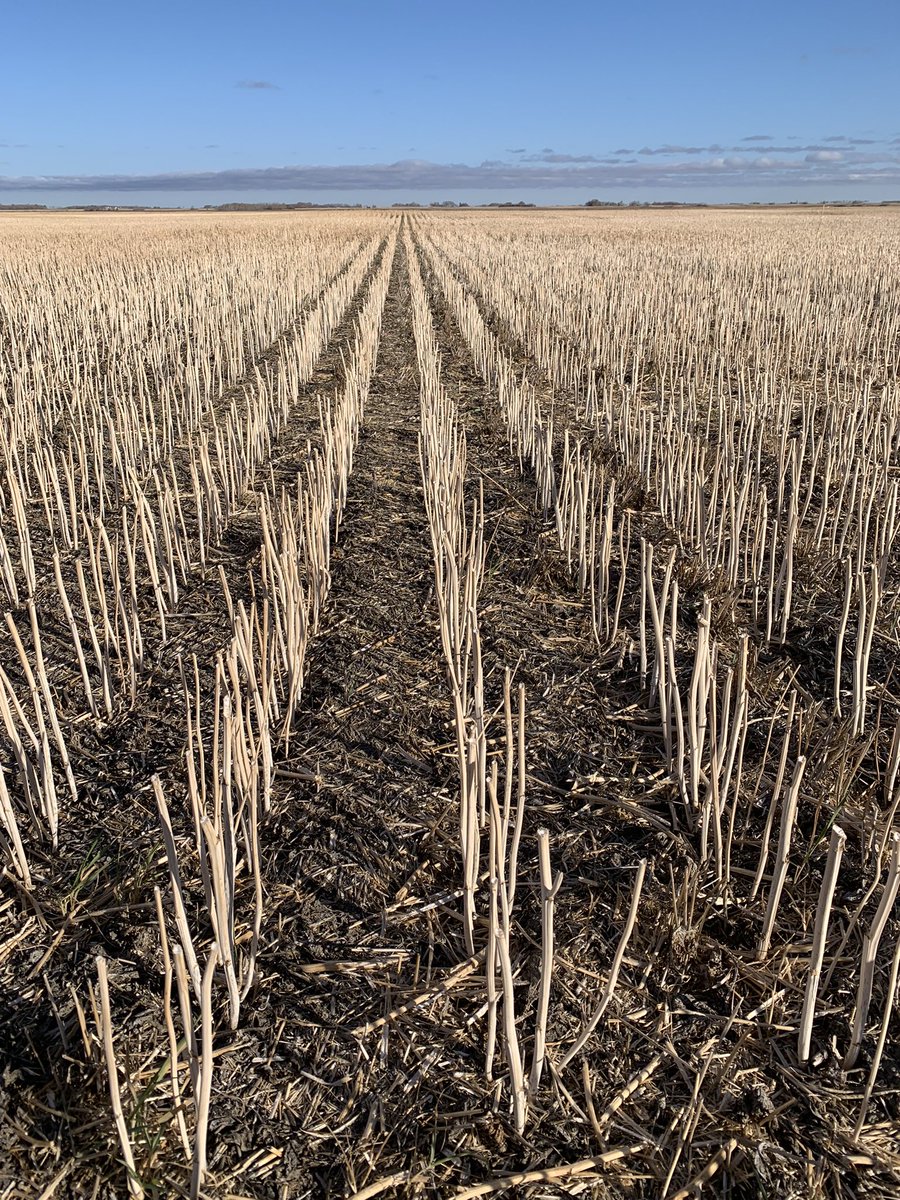 Silty loam soil on flat landscape. Normally little yield variability. This year however even subtle landscape variability showed widely variable ylds. We sample accordingly to get a read on these differences. Results will be considered and all mgmt options discussed. <a href="/Western_Ag/">Western Ag</a>
