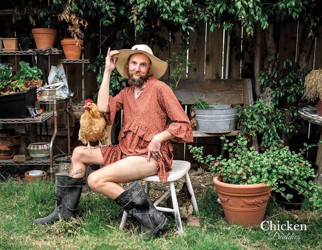 ChickenDaddies's tweet photo. Place your order: https://t.co/Af3ySxIhyk! Chicken Daddies: Farm Dress Edition Wall Calendar! Perfect for adding a playful accent and brightening you or your loved ones day. If ya wanna see the rest of the calendar, ya gotta order it 🐓 #chickendaddies #chickens #backyardchickens https://t.co/dW6jQLFKXs