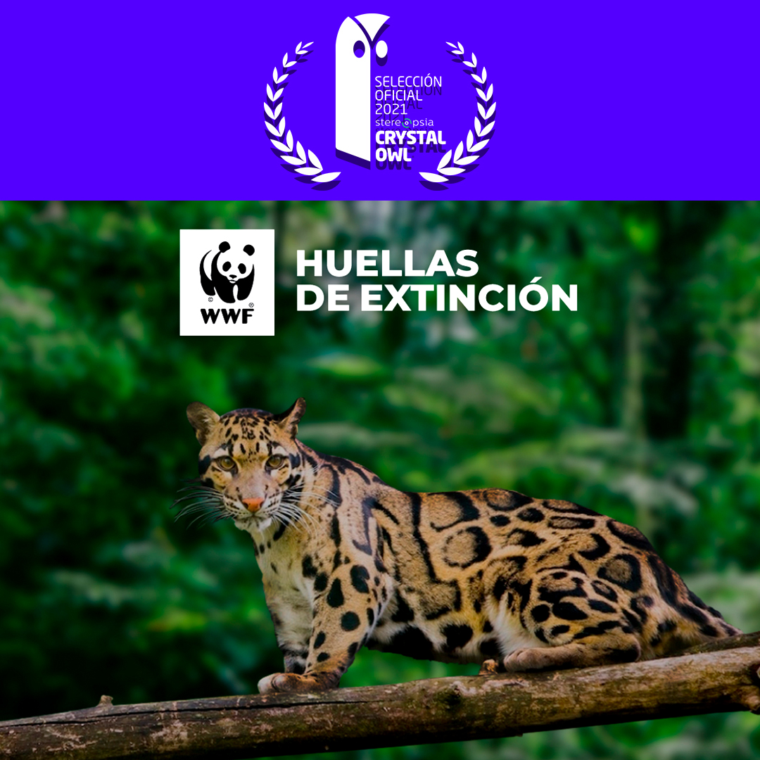 osoBorrosoDGTL's tweet photo. The @Stereopsia Latam tech forum 2021 has already started! At the end of this week, we will know if our second nominated project —@WWF Footprints of Extinction made in collaboration with @IAgenciaInbrax Chile— will get the Crystal Owl Award. Stay tuned! 😎 https://t.co/Ubt8Auwjtv
