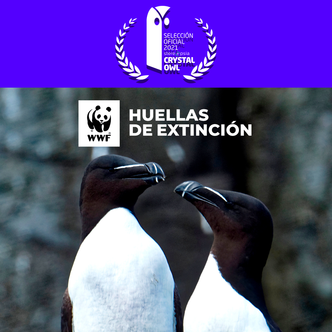 osoBorrosoDGTL's tweet photo. The @Stereopsia Latam tech forum 2021 has already started! At the end of this week, we will know if our second nominated project —@WWF Footprints of Extinction made in collaboration with @IAgenciaInbrax Chile— will get the Crystal Owl Award. Stay tuned! 😎 https://t.co/Ubt8Auwjtv