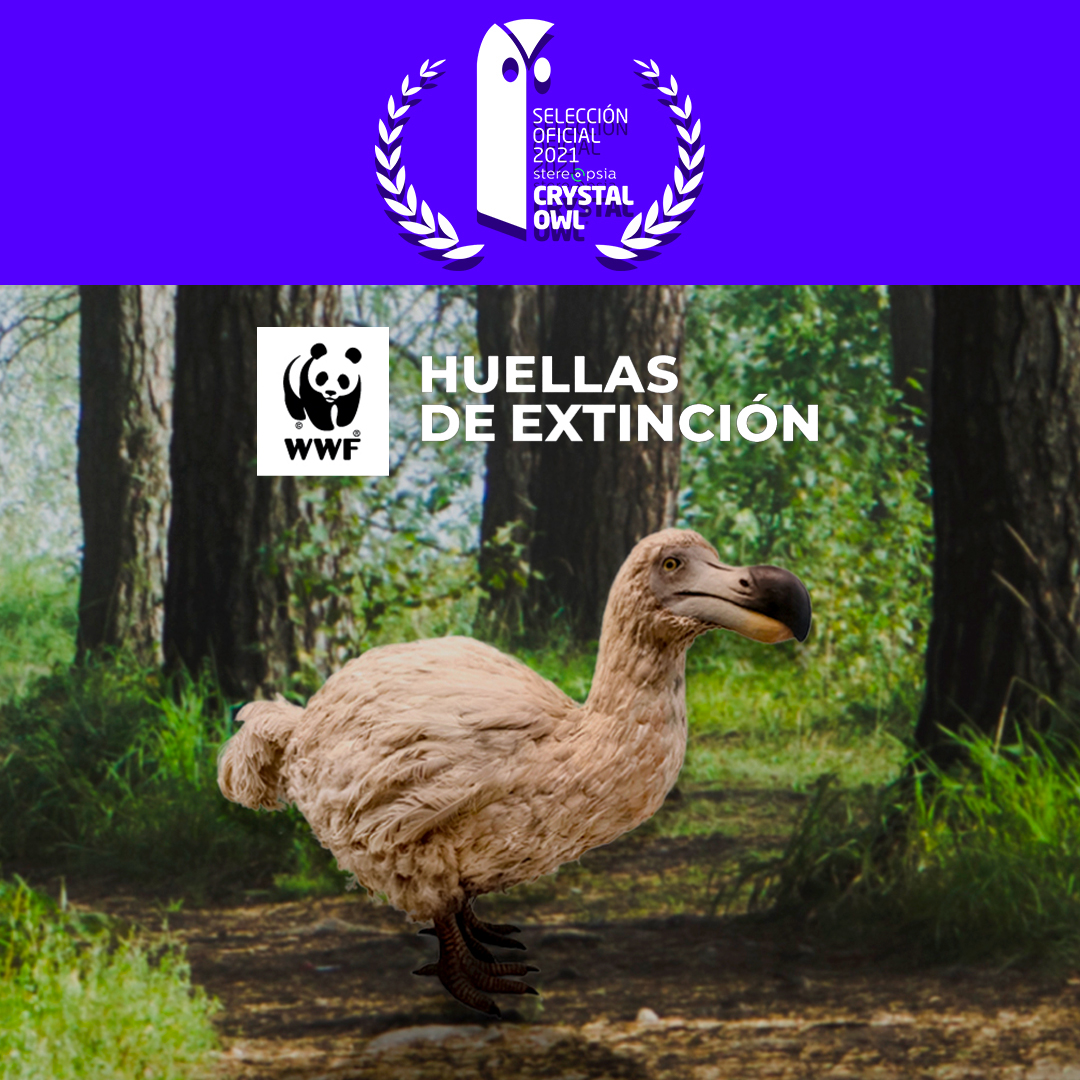 osoBorrosoDGTL's tweet photo. The @Stereopsia Latam tech forum 2021 has already started! At the end of this week, we will know if our second nominated project —@WWF Footprints of Extinction made in collaboration with @IAgenciaInbrax Chile— will get the Crystal Owl Award. Stay tuned! 😎 https://t.co/Ubt8Auwjtv