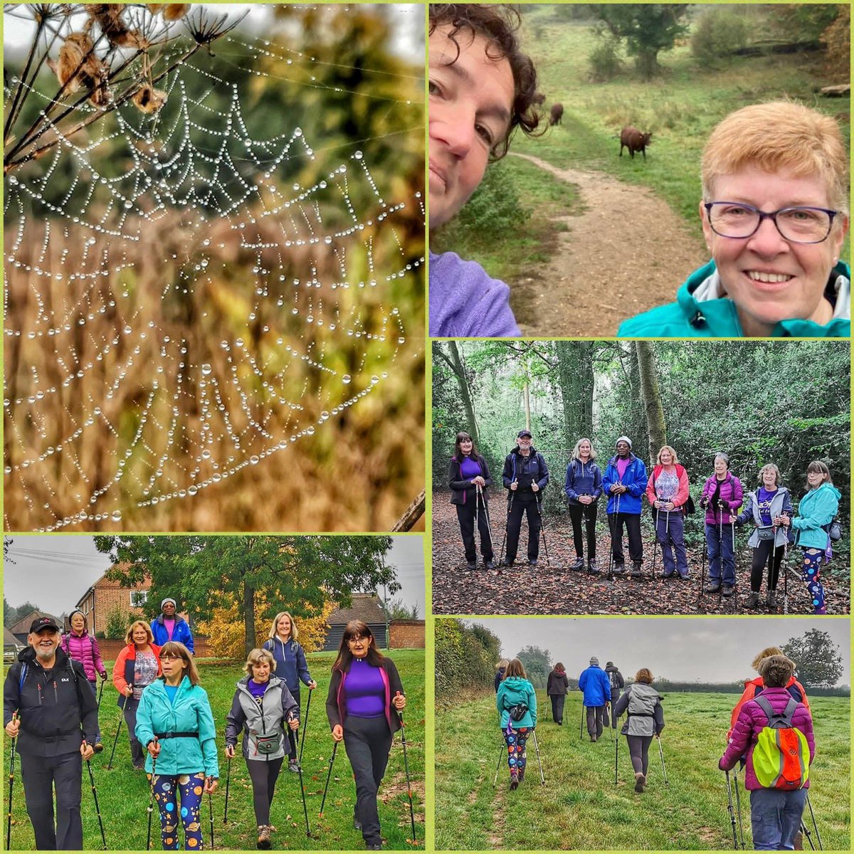 NW_Watford's tweet photo. Blowing the cobwebs away with our 3 Nordic Walks this morning. 

Autumn really is a fabulous time to get outside 🍁 

#lovenordicwalking #getoutside #strongerfasterfitter https://t.co/Z0OQLf6RYW