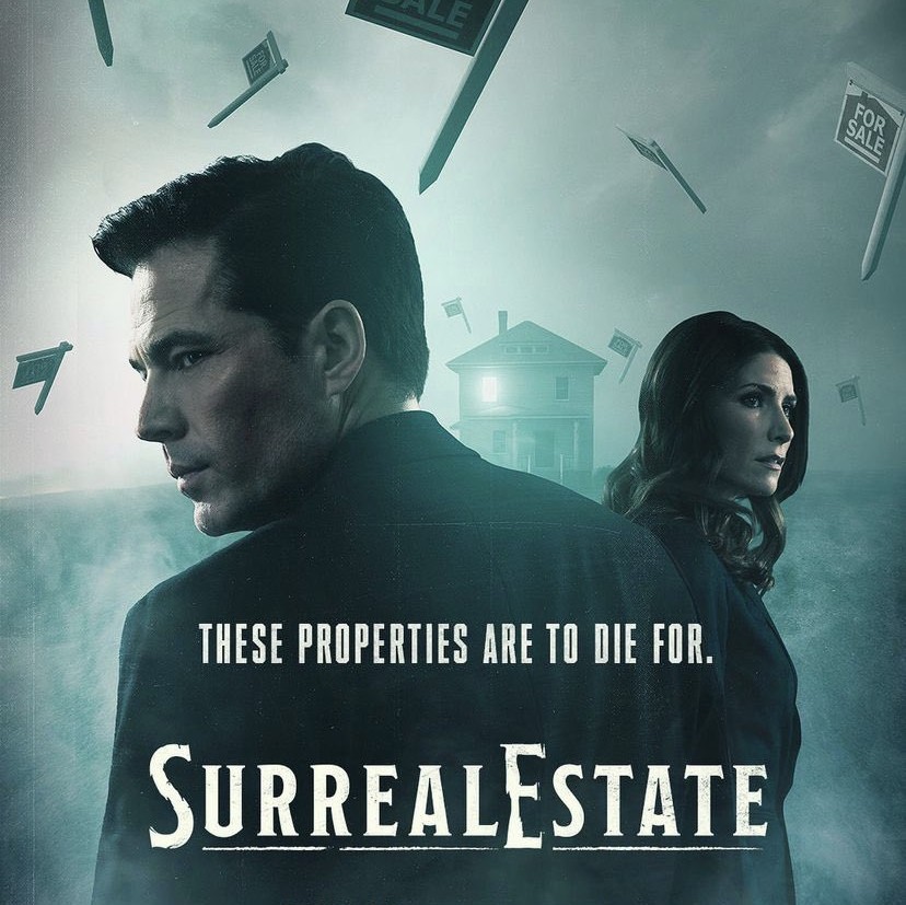 TVOvertime's tweet photo. #SurrealEstate cancelled after 1 season by SYFY. https://t.co/PywyInJnl9