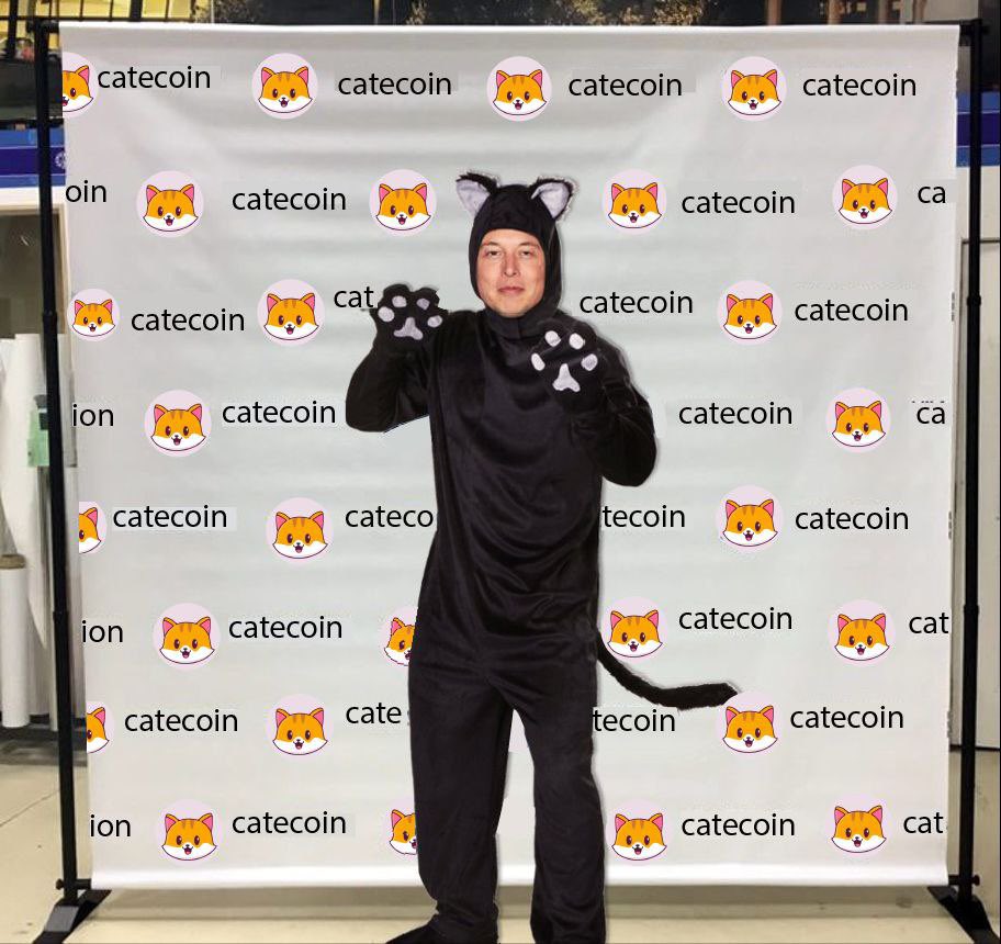 dred86's tweet photo. @elonmusk #cate #catecoin https://t.co/cXIvi4pCWN