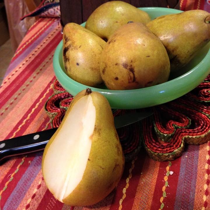 Agriberry Farm tweet media