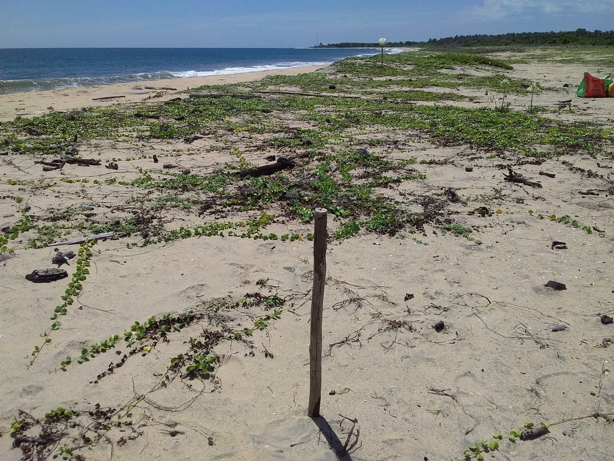 cleanoceantoken tweet media