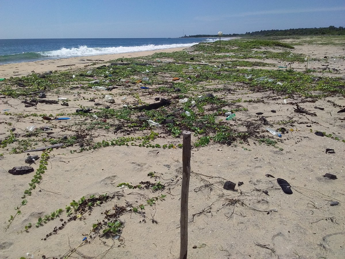 cleanoceantoken tweet media