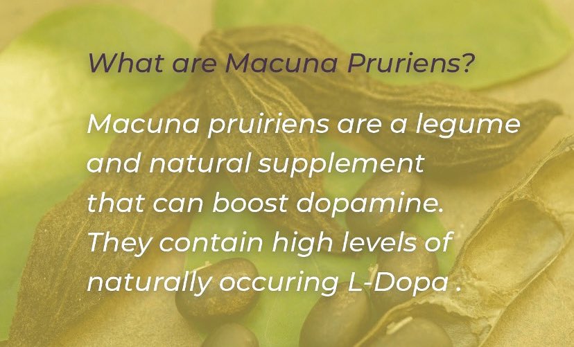 VRYeveryday's tweet photo. Known as the 'magic velvet bean', we use Mucuna Puriens in our DOPA MIND • FEEL ALIVE  formula. It helps support healthy levels of the feel-good neurotransmitter #Dopamine to promote a positive mood, motivation and energy. More info at https://t.co/SgMby9BQMt #mentalwellness https://t.co/XzDoAmmj0y