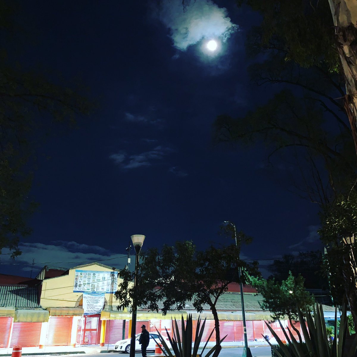 victorsalinasl's tweet photo. Coyoacán 

#mercado #luna #instalike #loveislove #instanice #instapic #instasalis https://t.co/ayfjbvgagF