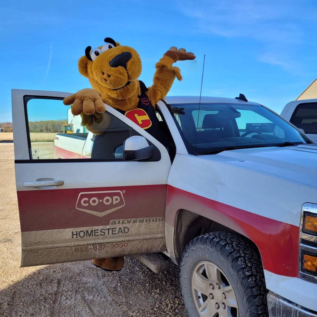 HomesteadCoopAg's tweet photo. Our Co-op mascot Cooper the Bear came to visit us to celebrate #CoopWeek. This year's theme is "Embracing the future with cooperation". https://t.co/JlA73MljyM