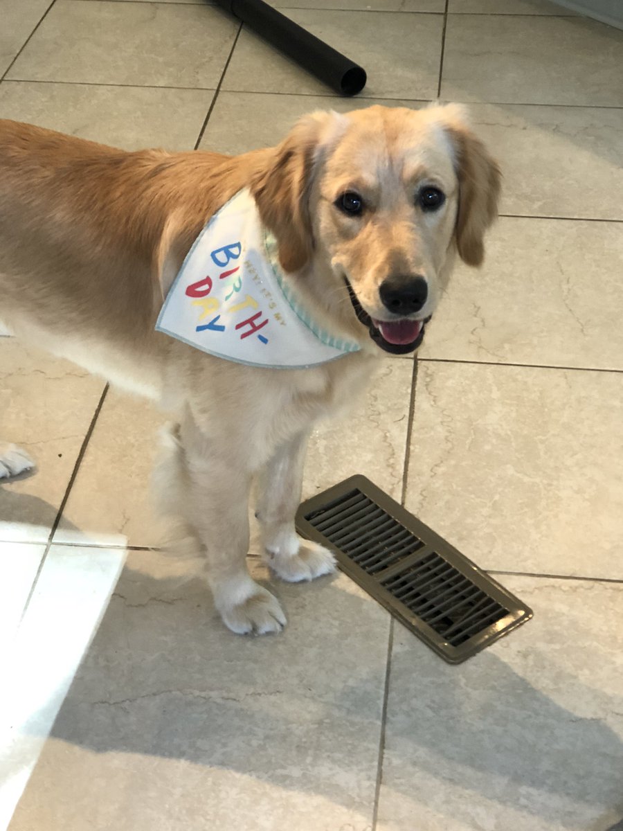 SenatorSassy's tweet photo. It’s my birthday! 🎂👑🎉 https://t.co/ms0YJaewQX