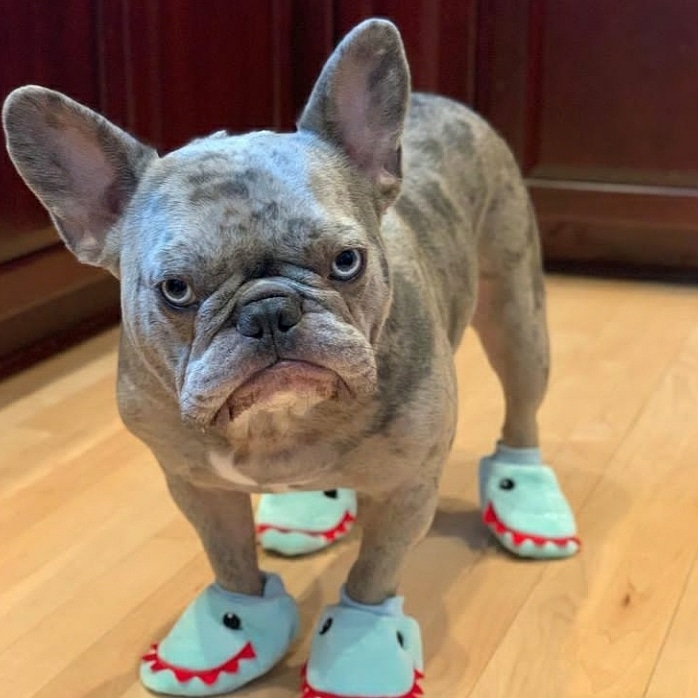 Ron1Max's tweet image. 