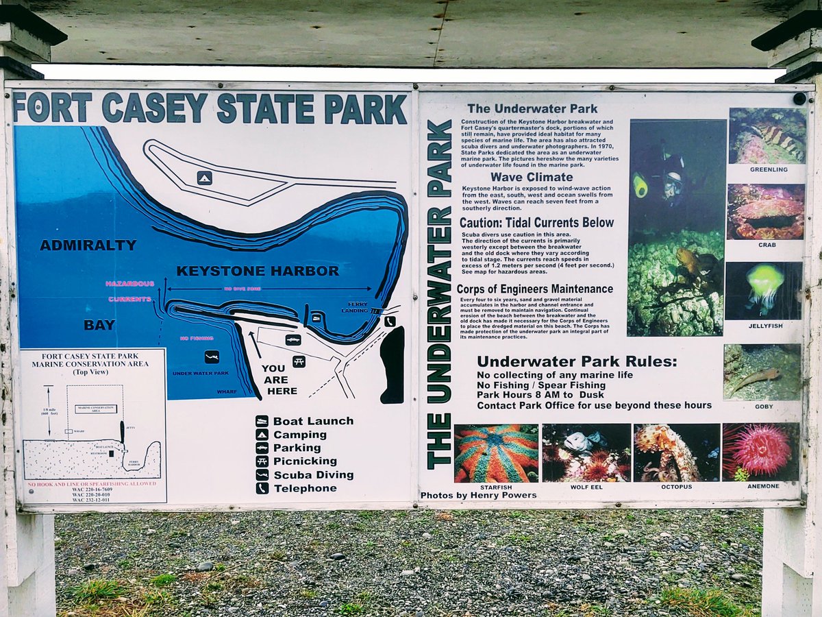 rebecca_lodell's tweet photo. #FtCaseyStatePark #UnderwaterPark #WhidbeyIsland #Coupeville πππ https://t.co/h16JAQmRWd